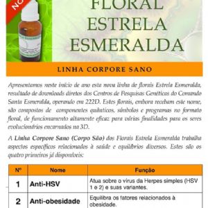 Imagem de Florais Estrela Esmeralda - Nova Linha Corpore Sano  
